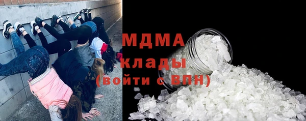 прущие грибы Ельня