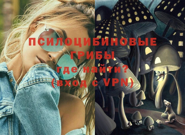 ешки Елабуга