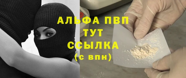прущие грибы Ельня