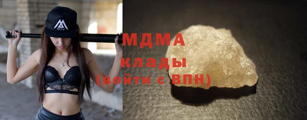 прущие грибы Ельня