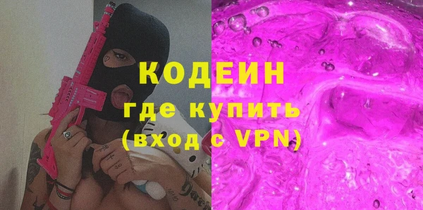 прущие грибы Ельня