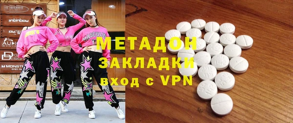 прущие грибы Ельня