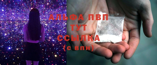 прущие грибы Ельня