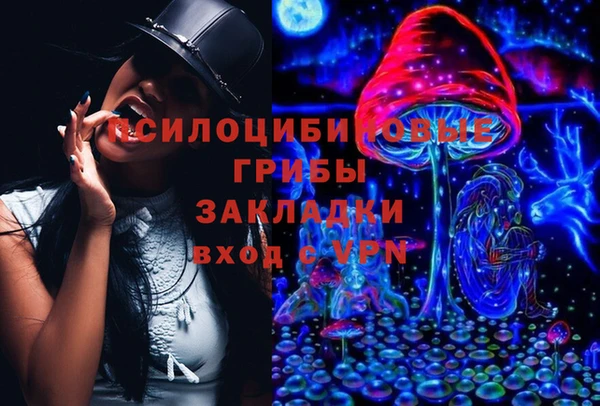 ешки Елабуга