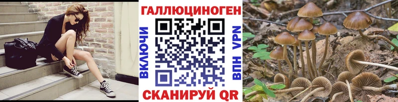 Купить закладки  Урус-Мартан  Галлюциногенные грибы прущие грибы 